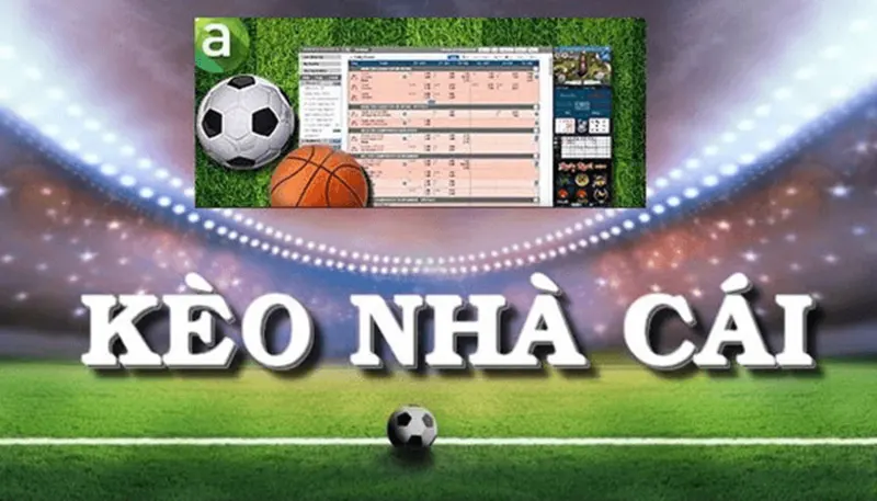 Cách đọc kèo nhà cái trên CF68: Hiểu và tối ưu cơ hội thắng Cách đọc kèo nhà cái- có tỷ lệ cược số thập phân