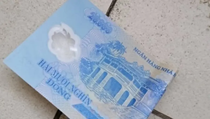 Mơ nhặt được tiền 20 nghìn đánh con gì cho hiệu quả nhất? Mơ nhặt được tiền 20 nghìn đánh con gì - mỗi giấc mơ đều mang những ý nghĩa khác nhau gắn với những con số liên quan khác nhau