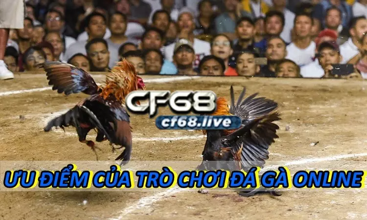 Trò chơi đá gà online cf68 club có trung thực không? Ưu điểm của tro choi da ga online