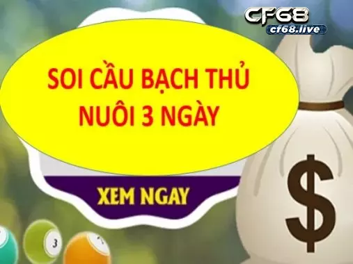 Lô Bạch Thủ Khung 3 Ngày Hướng Dẫn Cách Theo Dõi Đơn Giản Nuôi lô bạch thủ khung 3 ngày theo đầu câm - đuôi câm