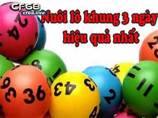 Lo khung 3 ngay Hướng dẫn cách nuôi song thủ thú vị Nuôi song thủ lo khung 3 ngày là gì?