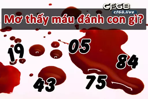 Giải mã giấc mơ bị chảy máu đánh con gì cùng cf68 Gặp giấc mơ bị chảy máu đánh con gì