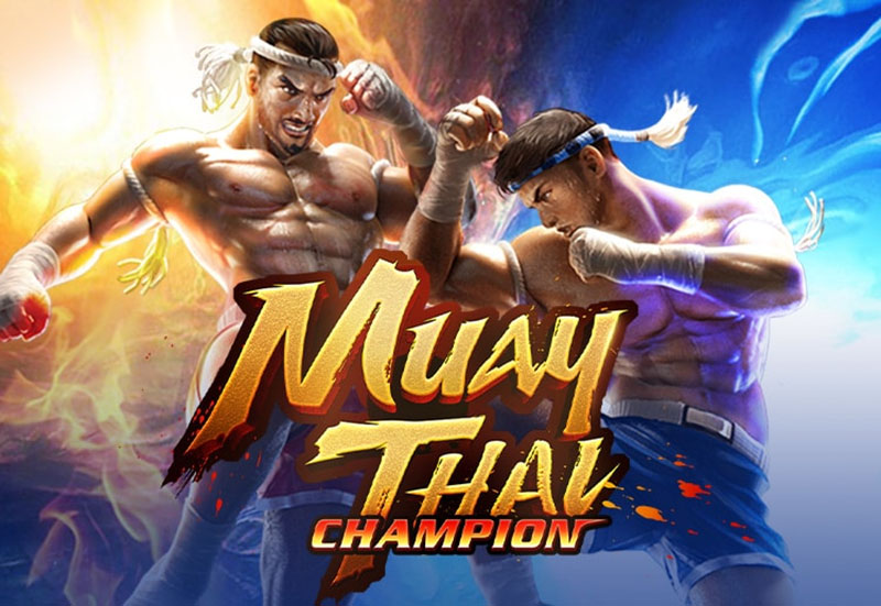 Muay thai game slot với tỷ lệ RTP cao, hấp dẫn người chơi Biểu tượng tính năng hấp dẫn trên Muay thai slot game