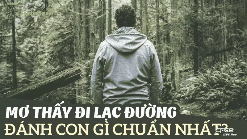 mơ thấy đi lạc đường cf68 mơ thấy đi lạc đường