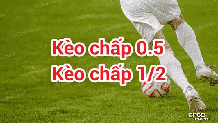 kèo chấp 0 0.5 là gì kèo chấp 0 0.5 là gì