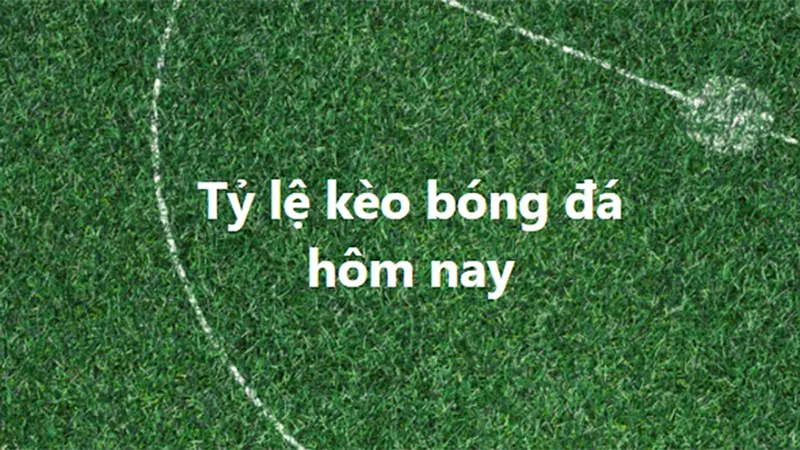 Soi kèo chính xác nhất áp dụng như thế nào cho hiệu quả Nguyên tắc để Soi kèo chính xác nhất là gì?