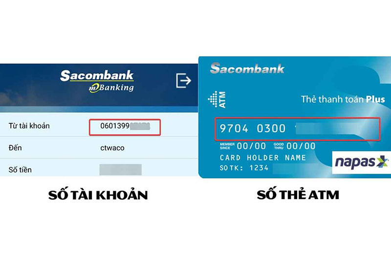 Số tài khoản sacombank nằm ở đâu xem ở đâu chuẩn nhất? Số tài khoản sacombank nằm ở đâu ra sao? Phân biệt giwuax số tài khoản - số thẻ