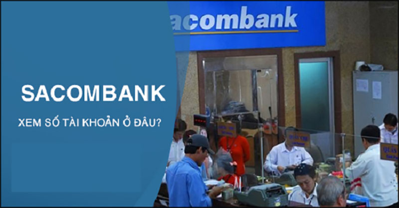 Số tài khoản sacombank nằm ở đâu xem ở đâu chuẩn nhất? Hướng dẫn điều kiện thủ tục xem Số tài khoản sacombank nằm ở đâu