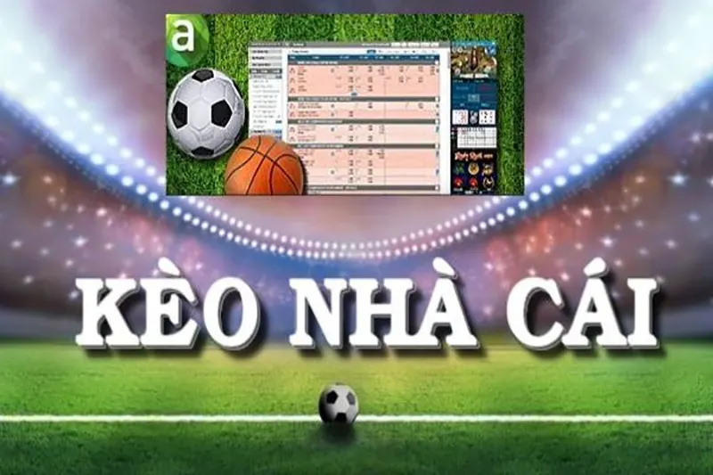 Kèo F88 là gì? Kinh nghiệm để áp dụng chơi hiệu quả nhất Bảng thông tin kèo F88 cung cấp những điều gì?