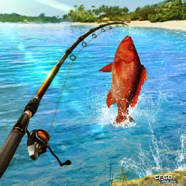 Game câu cá online: Fishing Clash 3D – Trò chơi giả lập hấp dẫn Game hoạt động giống như câu cá trong cuộc sống thực