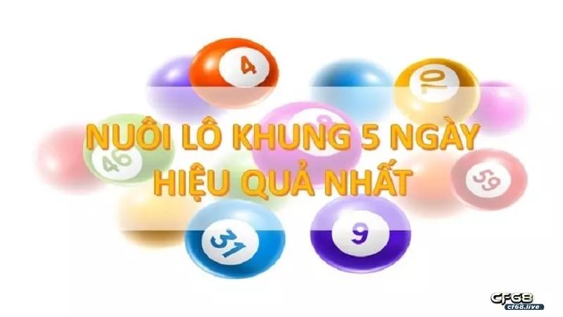 Lô nuôi khung 5 ngày là gì? Cf68 chỉ bạn cách chơi bất bại lô nuôi khung 5 ngày