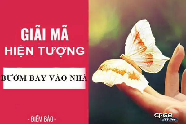 99 là con gì? có ý nghĩa như thế nào trong xổ số soi cầu 99 là con gì? có ý nghĩa như thế nào trong xổ số soi cầu