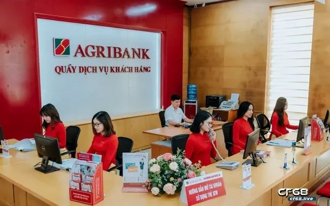 Cskh agribank - Số hotline chăm sóc khách hàng phục vụ 24/24 Tổng đài cskh agribank là gì?