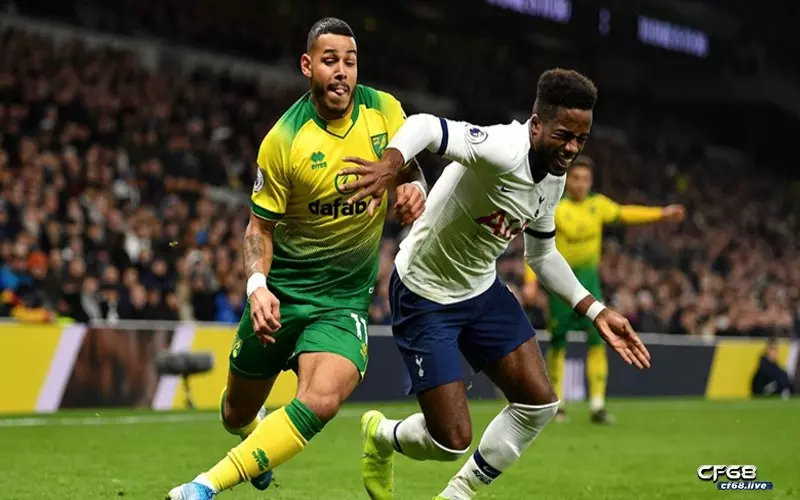 Lịch sử đối đầu Tottenham vs Norwich - Cùng cf68 tìm hiểu ngay lịch sử đối đầu tottenham vs norwich
