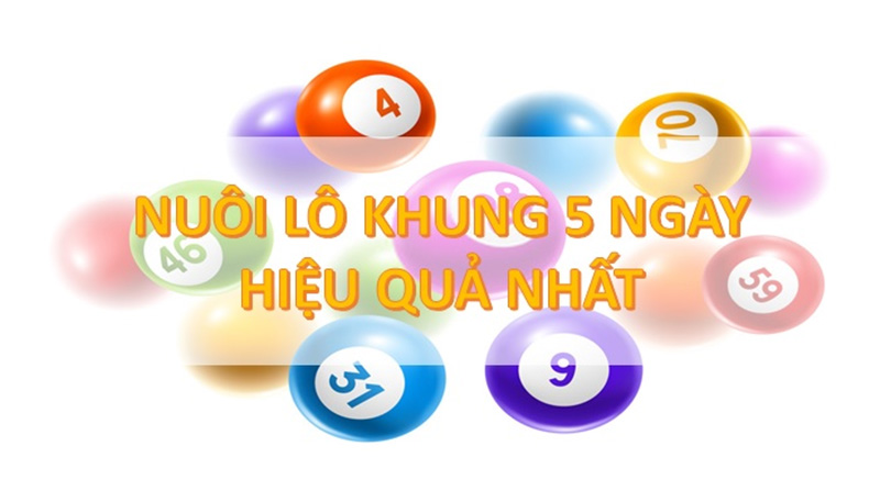Nuôi khung 5 ngày là gì? Những cách để nuôi hiệu quả nhất Tìm hiểu thông tin về Nuôi khung 5 ngày là gì?