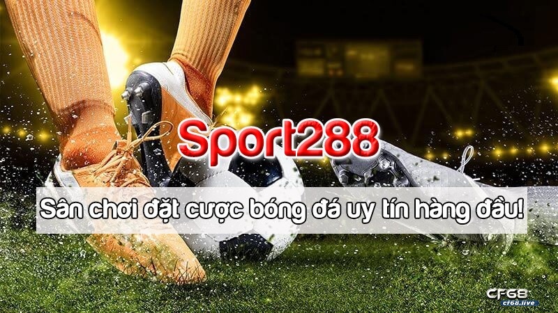 Sport288 - Sân chơi đặt cược bóng đá, uy tín World Cup 2022 Tham gia đặt cược World Cup 2022 tại cổng game Sport288