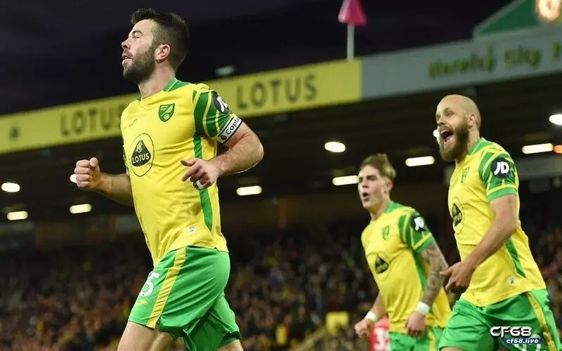Lịch sử đối đầu Tottenham vs Norwich - Cùng cf68 tìm hiểu ngay Norwich không có phong độ tốt trong mùa giải này