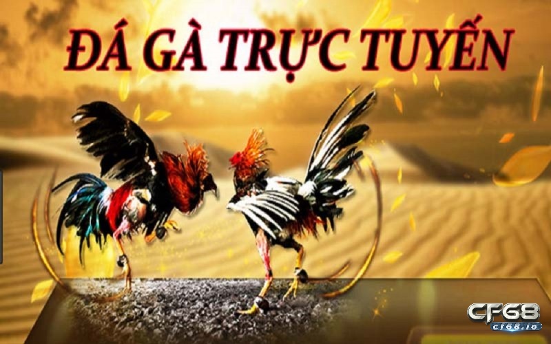 Da ga online cách chơi ăn cược hiệu quả cùng cf68 Tổng quan về da ga online
