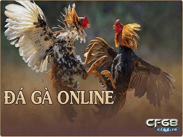 Game đá gà online - Cách chơi siêu hiệu quả tại CF68 Game đá gà online là gì?