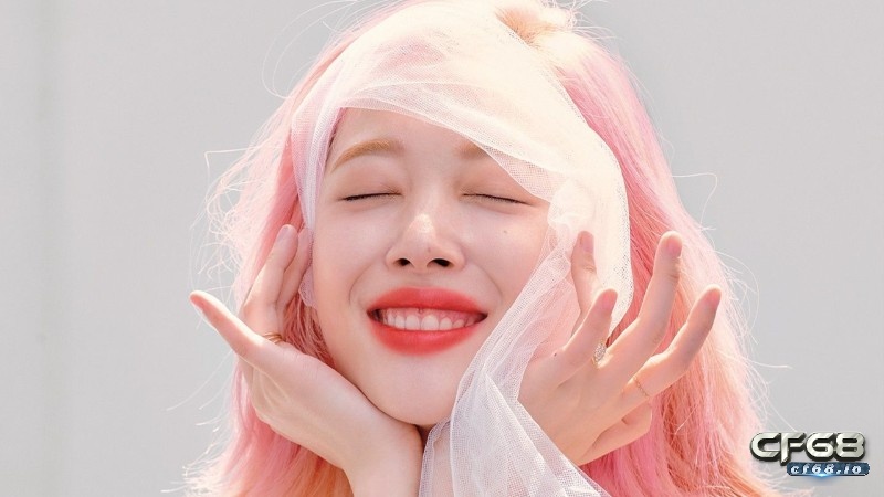 Hoa lê tuyết Sulli là ai? Tìm hiểu sự ra đi của Sulli năm 2019 Sự nghiệp của Sulli