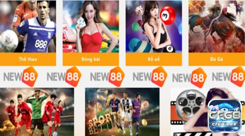 Nhà cái NEW88 chất lượng và uy tín nhất hiện nay Các sản phẩm giải trí hàng đầu tại nhà cái NEW88 chất lượng