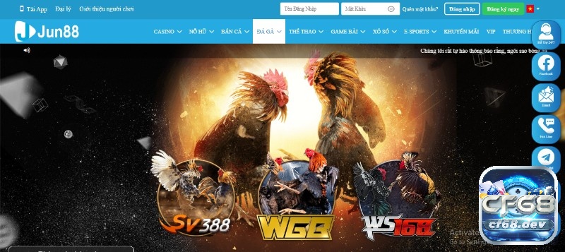 Đá gà online tại casino jun88 nhacaihangdau cực uy tín Jun88 - Nhà cái đá gà uy tín, chất lượng hàng đầu