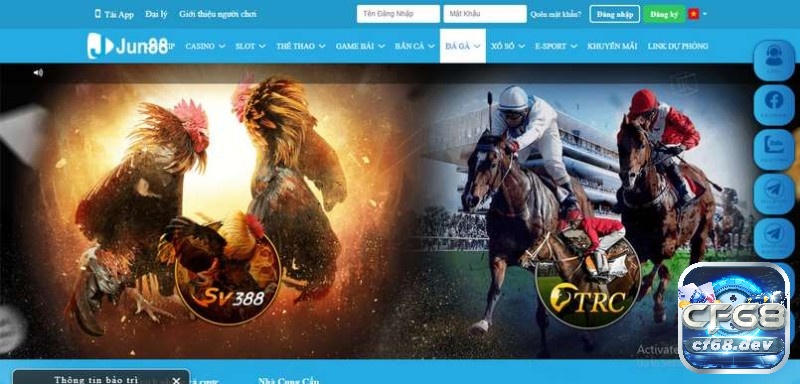 Link vào jun88 an toàn, không bị chặn mới nhất 2023 Màn live trận đấu đá gà hấp dẫn tại Jun88