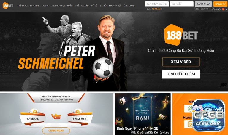 M Sports998 - Sân chơi giải trí trực tuyến đa dạng và phong cách Đăng ký/đăng nhập tài khoản trên nhà cái cá cược M Sports998