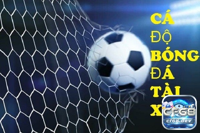 Tài xỉu góc là gì? Cách đọc kèo và kinh nghiệm chơi chiến thắng tại cf68 Tài xỉu góc là gì? Hướng dẫn chơi kèo trên nền tảng Cf68