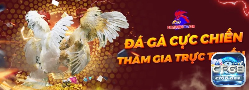 Đá gà casino trực tuyến tại Cf68 - Sân chơi uy tín chất lượng Tham gia chơi đá gà casino trực tuyến tại CF68