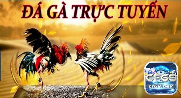 Đá gà casino trực tuyến tại Cf68 - Sân chơi uy tín chất lượng Đá gà casino trực tuyến được nhiều anh em tham gia chơi