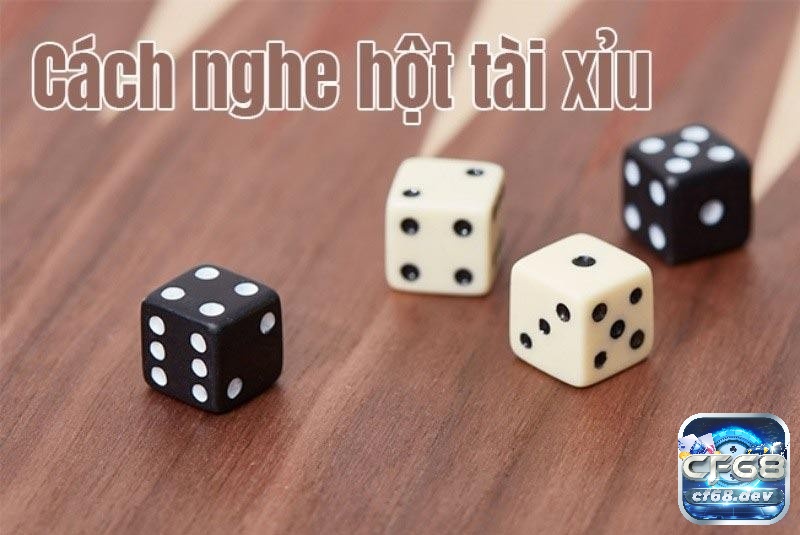 Cách nghe hột tài xỉu chi tiết, hiệu quả dành cho người mới cf68 Cách nghe hột tài xỉu sẽ giúp đem lại tỷ lệ thắng cao cho người chơi