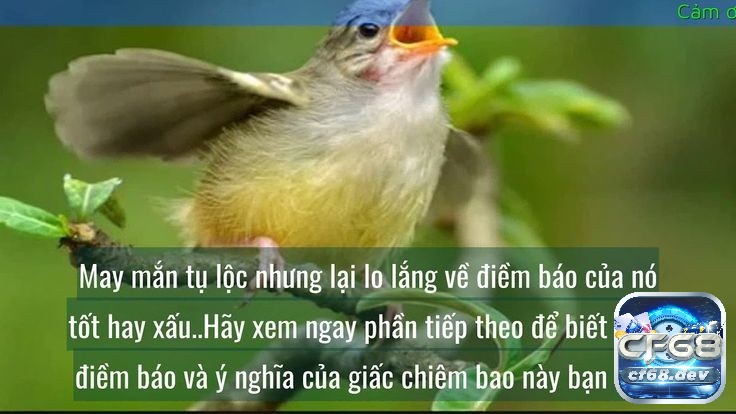 Số đề con vật tương ứng như thế nào? Hướng dẫn chi tiết Khi sử dụng Số đề con vật cần lưu ý những gì?