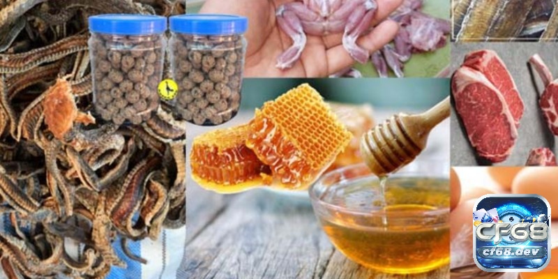 Các loại mồi cho gà đá sử dụng trong huấn luyện - Giải đáp Giới thiệu gà đá và các loại mồi cho gà đá