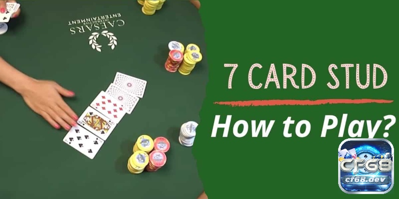 Các thể loại Poker trong Casino gồm những biến thể Poker nào? Poker 7 lá có cộng đồng nhất định trong giới