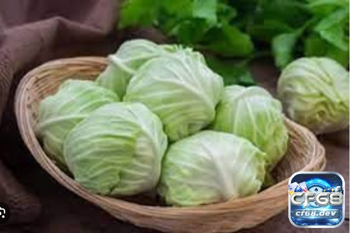 Cách giảm cân cho gà chọi hiệu quả, đảm bảo sức khỏe Cách giảm cân cho gà chọi dựa theo chế độ dinh dưỡng