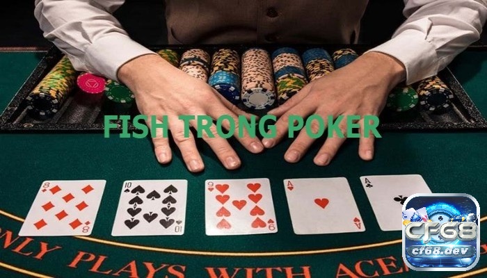 Fish trong Poker là gì? Khai thác nhân tố Fish trong Poker Cách săn Fish trong Poker như thế nào?