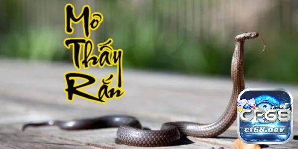 Mơ thấy giết rắn nên đánh số gì? Giả mã giấc mơ chính xác 99% Mơ thấy bản thân giết một con rắn lớn không nhất thiết là một dấu hiệu tiêu cực