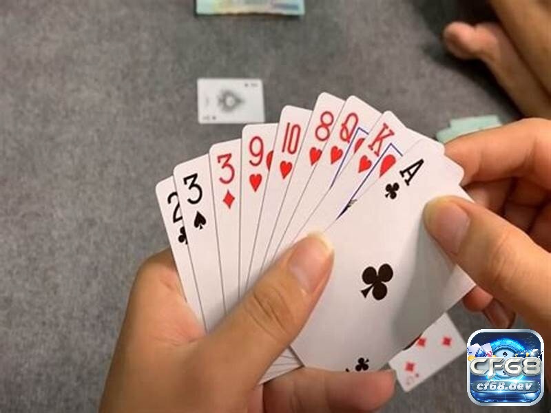 Cách chơi phỏm chi tiết từ A - Z cho người chơi mới bắt đầu Những thuật ngữ phổ biến trong phỏm giúp bạn tự tin và thoải mái tham gia trò chơi