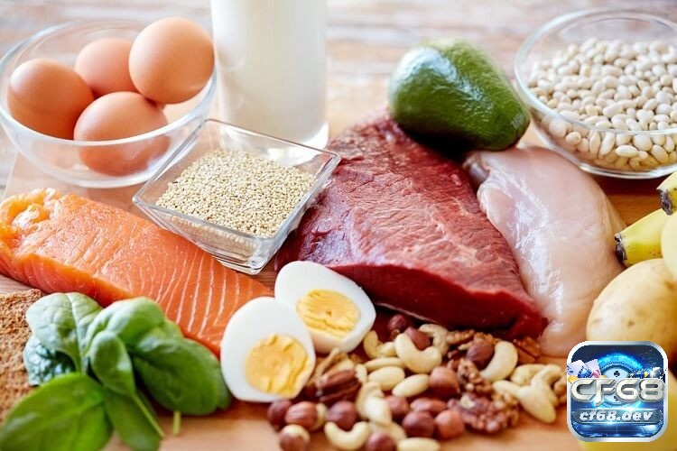 Cách tăng cân cho gà chọi hiệu quả và an toàn nhất Thịt cá trứng sữa là nguồn protein giàu dinh dưỡng để giúp gà tăng cân nhanh