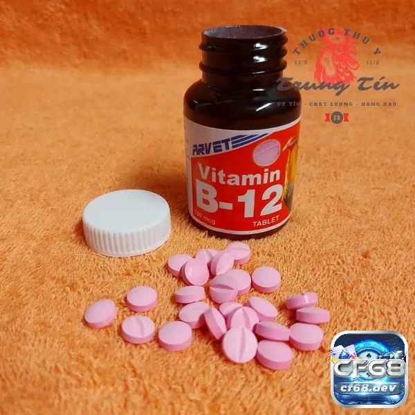 Cách tăng cân cho gà chọi hiệu quả và an toàn nhất Vitamin B12 giúp gà hấp thụ tốt hơn