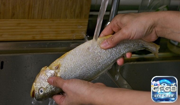 Mơ thấy cá chết là điềm lành hay dữ? Đánh số nào may mắn? Mơ thấy cá chết trên tay cho thấy bạn chính là niềm tự hào của gia đình