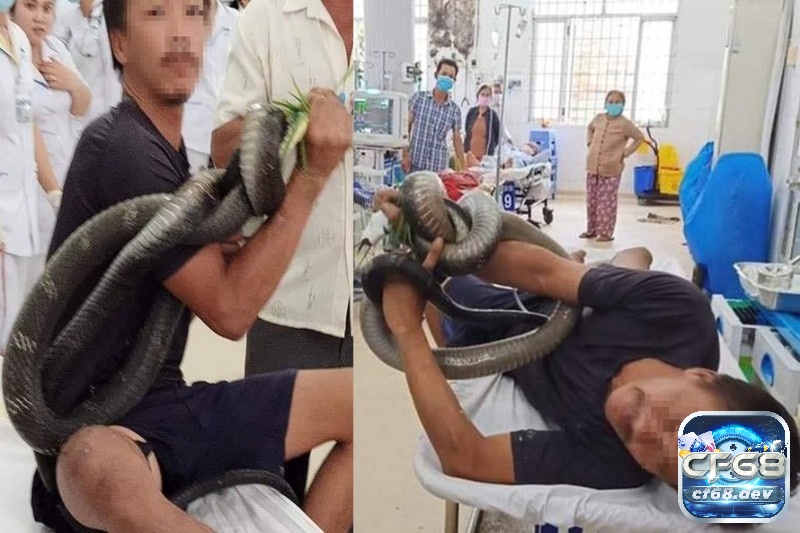 Mơ thấy rắn cắn: Giải mã ý nghĩa và những con số liên quan Ngủ mơ thấy rắn cắn chết người báo hiệu điều may mắn sẽ đến với bạn
