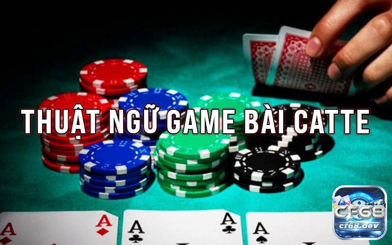 Thuật ngữ bài Catte là gì? Tổng hợp và giải đáp ý nghĩa chi tiết Thuật ngữ bài Catte phổ biến nhất và ý nghĩa