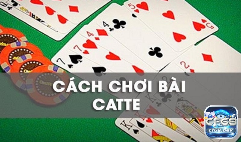 Thuật ngữ bài Catte là gì? Tổng hợp và giải đáp ý nghĩa chi tiết Thuật ngữ bài Catte và cách chơi bài Catte chi tiết