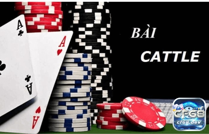 Thuật ngữ bài Catte là gì? Tổng hợp và giải đáp ý nghĩa chi tiết Tìm hiểu thông tin về bài Catte và thuật ngữ bài Catte