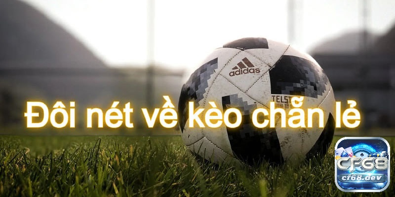 Kèo chẵn lẻ là gì? Hướng dẫn cược thủ đọc kèo cược chẵn lẻ Kèo chẵn lẻ có những dạng cược nào?