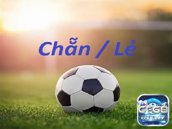 Kèo chẵn lẻ là gì? Hướng dẫn cược thủ đọc kèo cược chẵn lẻ Kinh nghiệm chơi kèo cá cược chẵn lẻ hiệu quả nhất