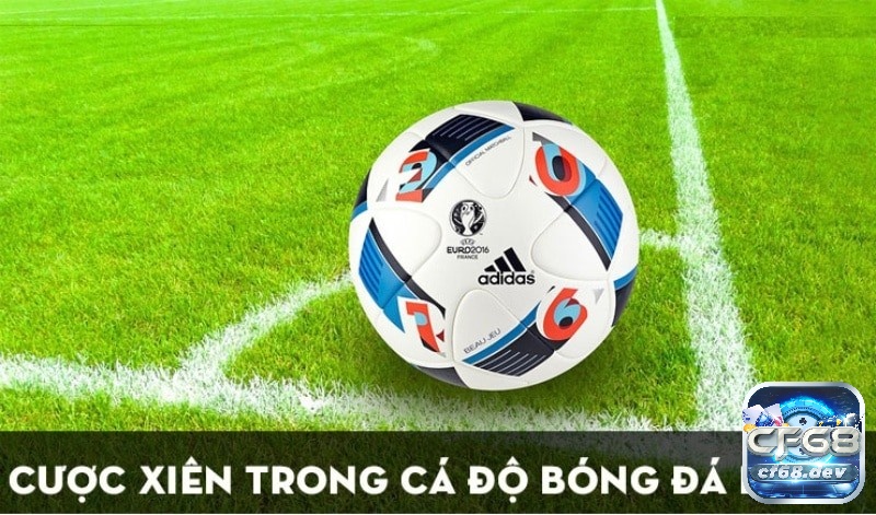 Kèo cược xiên là gì? Cách đọc kèo tham gia chốt kèo chính xác Học hỏi các chơi kèo cược xiên từ chuyên gia và hiệu quả