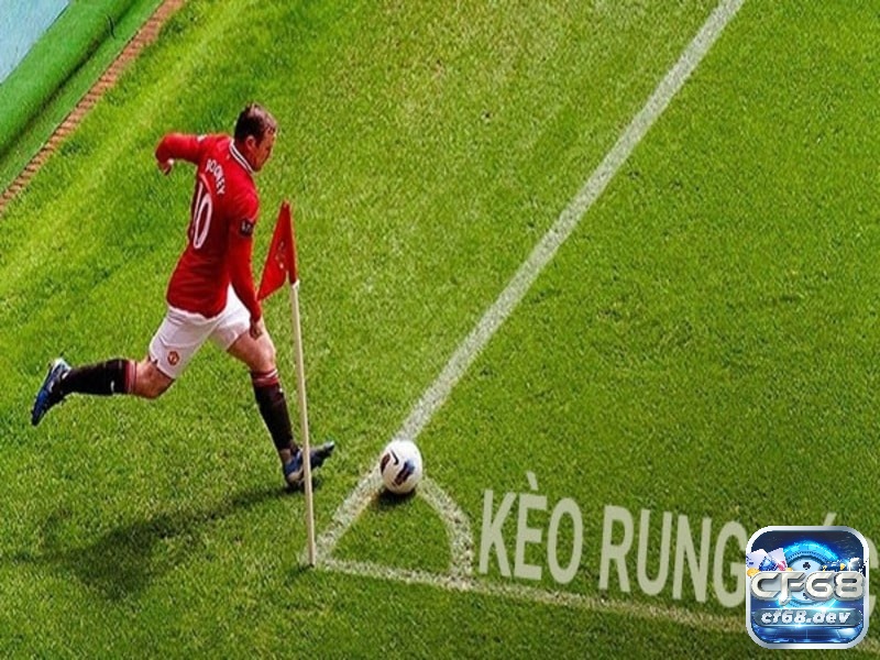 Kèo rung là gì? Kinh nghiệm tham gia chơi kèo rung hiệu quả Bỏ túi các mẹo hay chốt kèo rung hiệu quả nhất